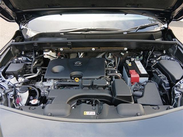 23909691_carP_l_18.jpg
