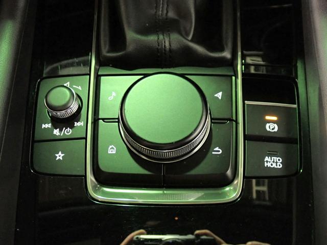 0230024A30260609W00511.jpg