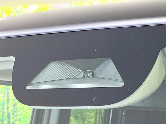 24974157_carP_l_10.jpg