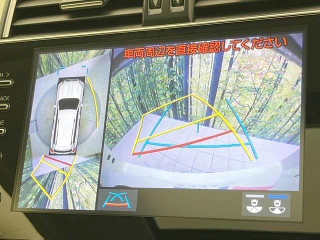 26534071_carP_l_4.jpg