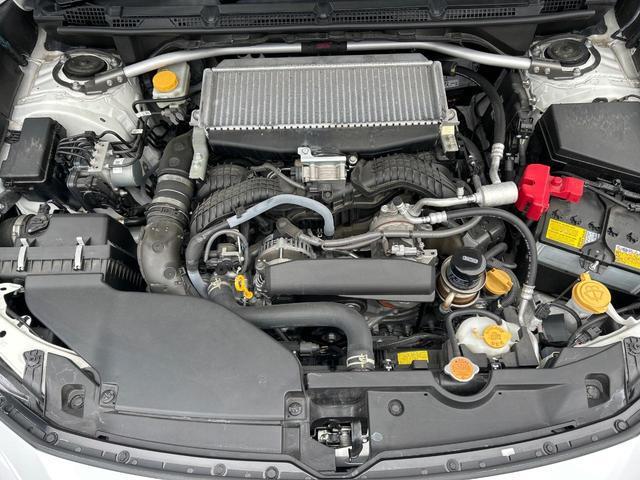 24380157_carP_l_16.jpg