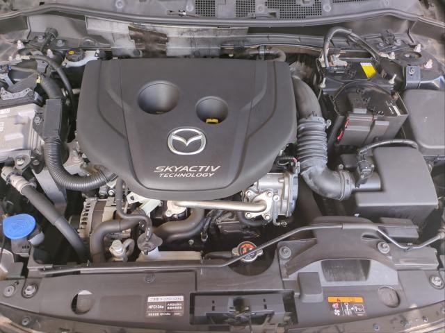 27133256_carP_l_17.jpg