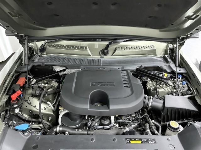 24090515_carP_l_17.jpg