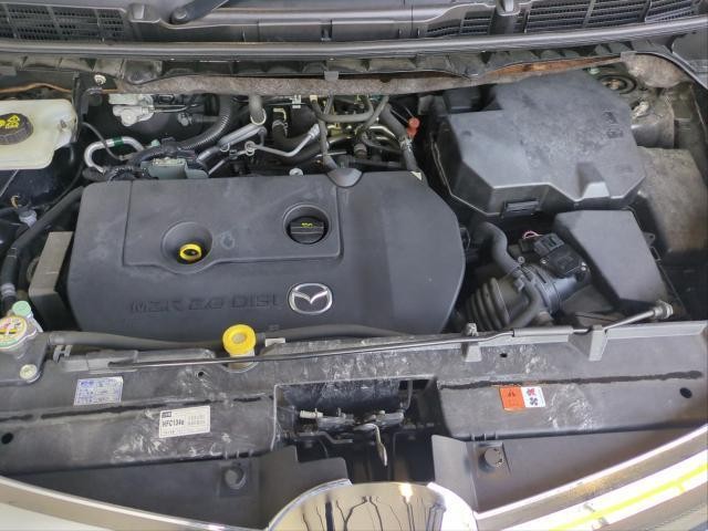 27133261_carP_l_17.jpg