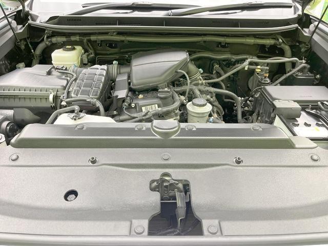26623354_carP_l_16.jpg