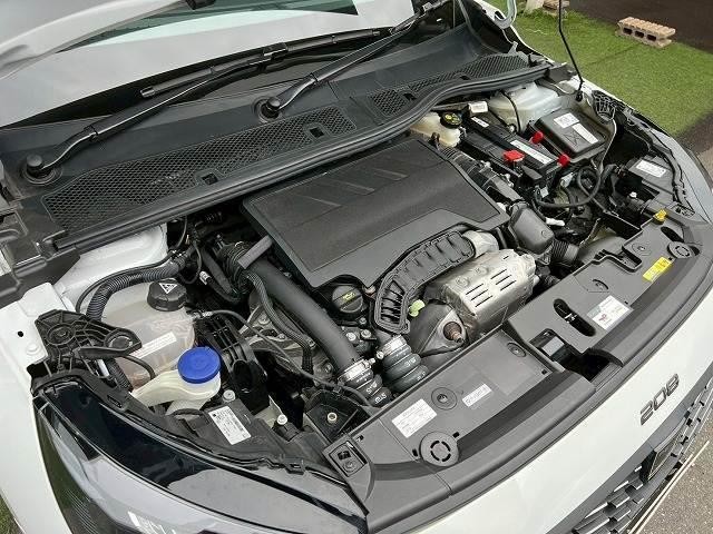 25070824_carP_l_8.jpg