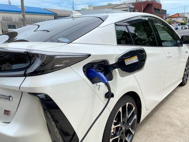 25734785_carP_l_19.jpg