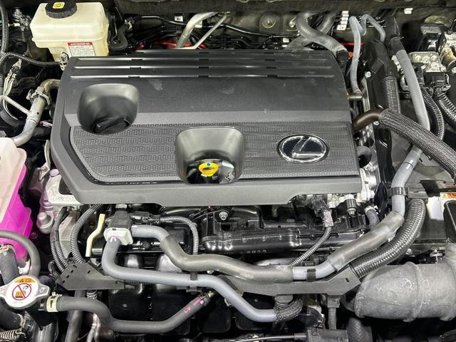 25303929_carP_l_16.jpg
