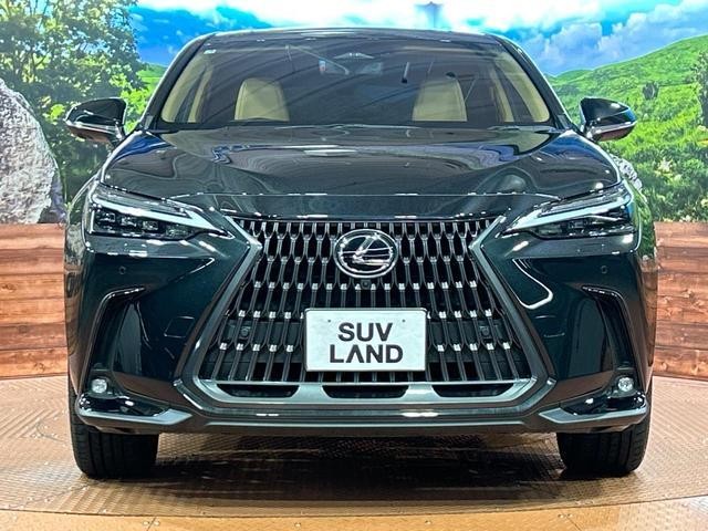 25303929_carP_l_8.jpg