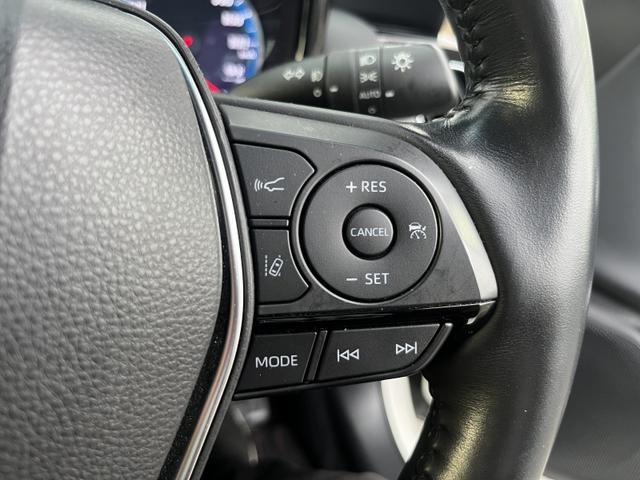 0551625A30260825W00219.jpg