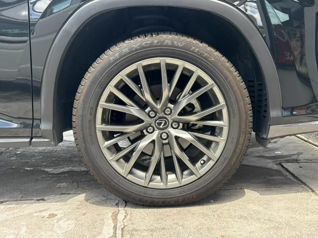 25788151_carP_l_13.jpg