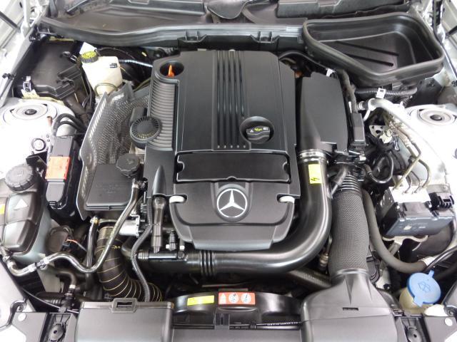 23714821_carP_l_20.jpg