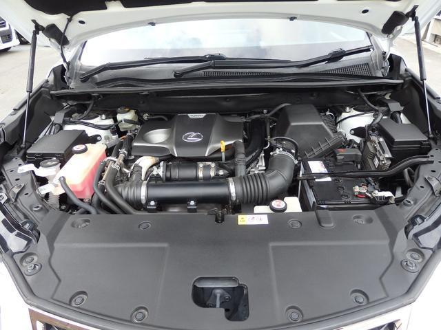 24515759_carP_l_20.jpg