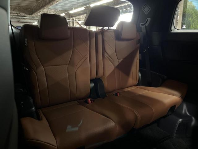 24685510_carP_l_5.jpg