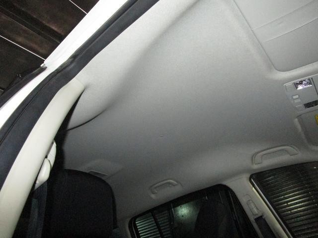 26225537_carP_l_16.jpg