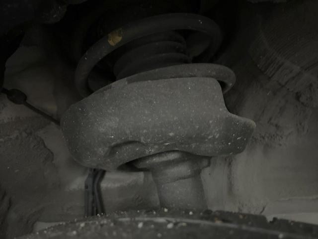 25792959_carP_l_20.jpg