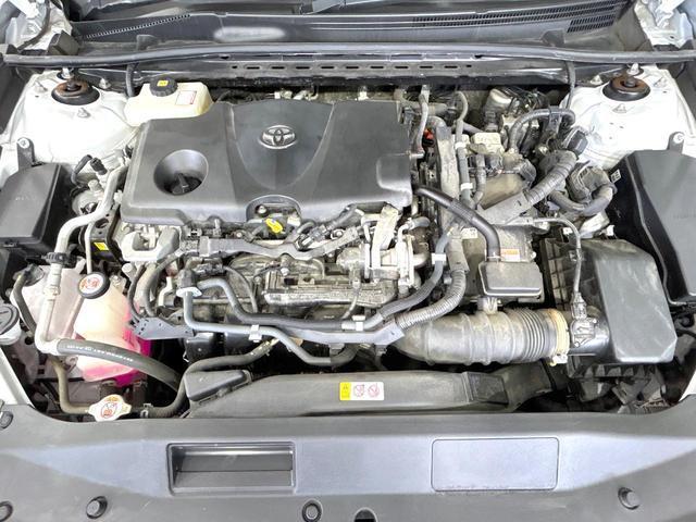 24481888_carP_l_18.jpg