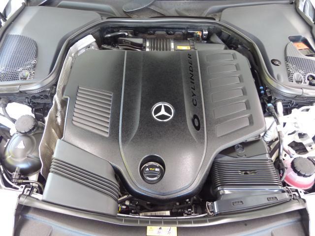 23714822_carP_l_20.jpg