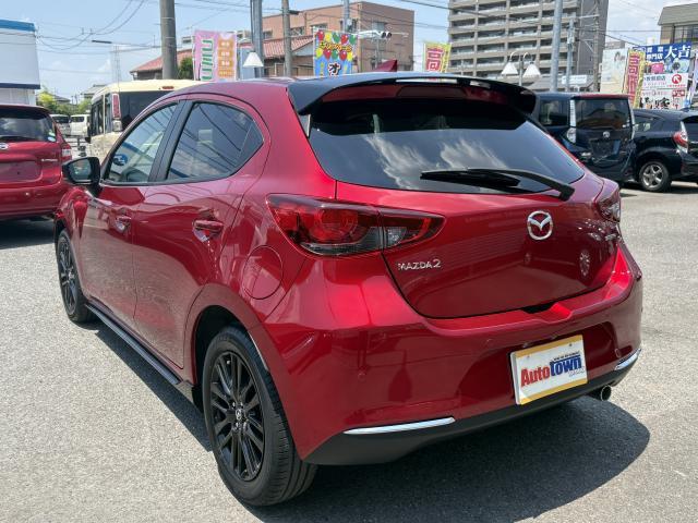 24520839_carP_l_15.jpg