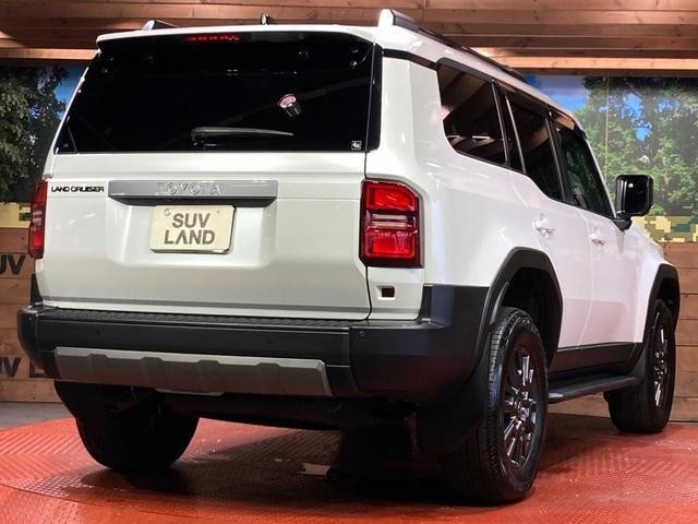 26356883_carP_l_16.jpg