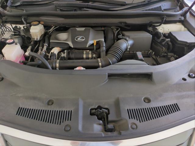 24520844_carP_l_17.jpg