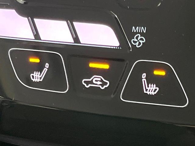 24974162_carP_l_14.jpg