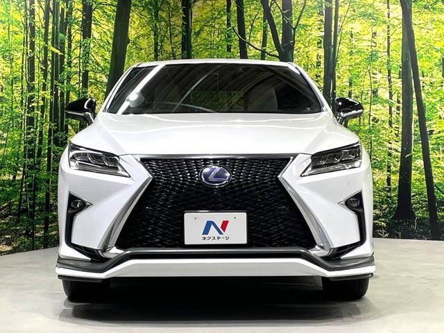26794477_carP_l_8.jpg