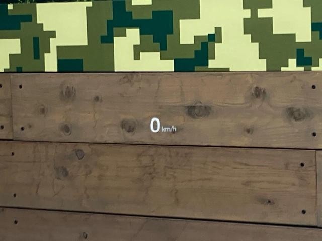 26356884_carP_l_10.jpg