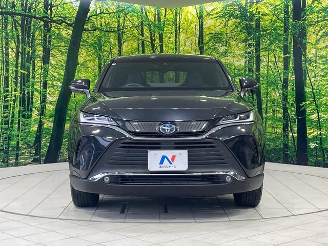 24747364_carP_l_8.jpg
