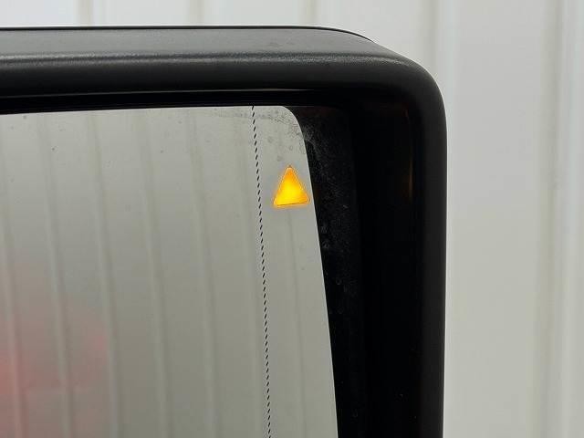 25647344_carP_l_10.jpg