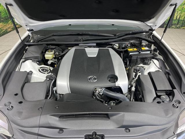 25591883_carP_l_16.jpg