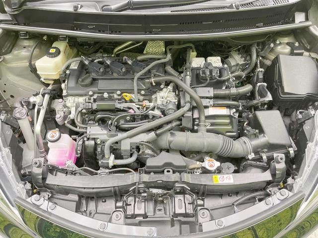 25793074_carP_l_16.jpg