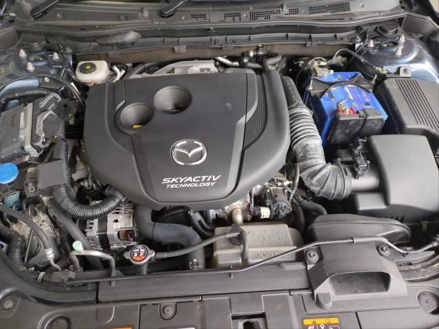 26228817_carP_l_17.jpg