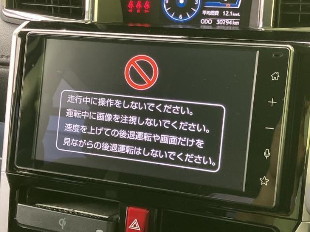 25549966_carP_l_19.jpg