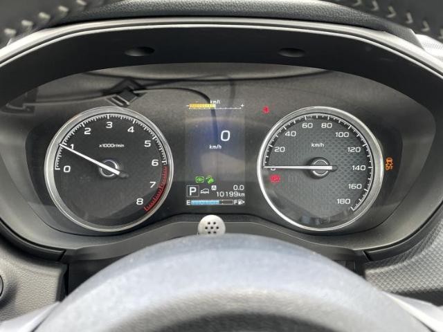 24711290_carP_l_7.jpg