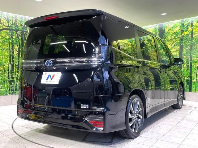 27011728_carP_l_16.jpg