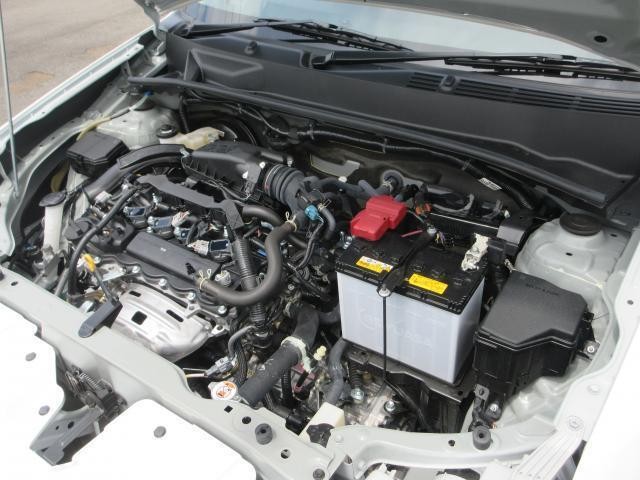 25532997_carP_l_20.jpg