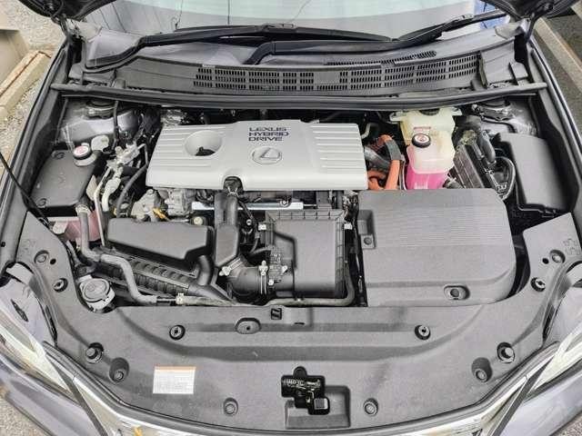 25043105_carP_l_3.jpg