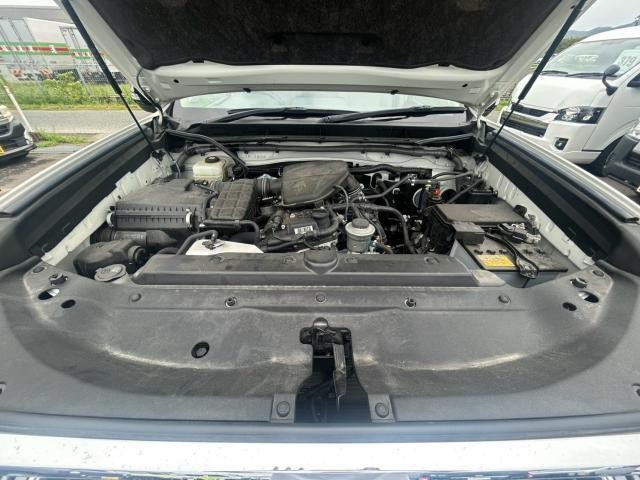 26357819_carP_l_17.jpg