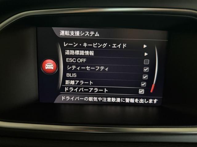 26231488_carP_l_2.jpg