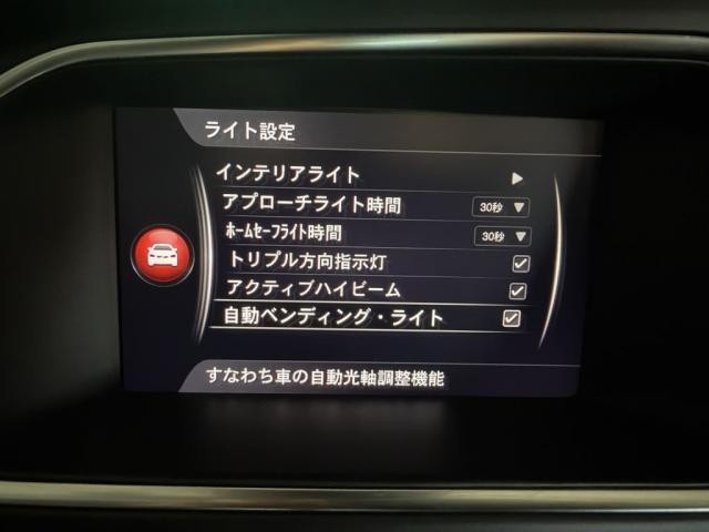 26231488_carP_l_7.jpg