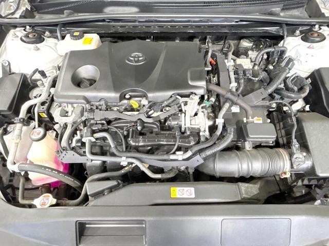 25200075_carP_l_16.jpg