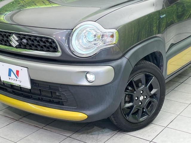 24380483_carP_l_6.jpg