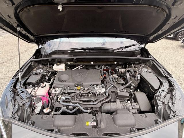 26380455_carP_l_12.jpg
