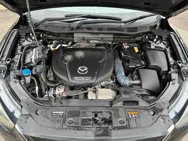 26922541_carP_l_10.jpg
