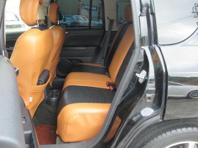 24204795_carP_l_12.jpg