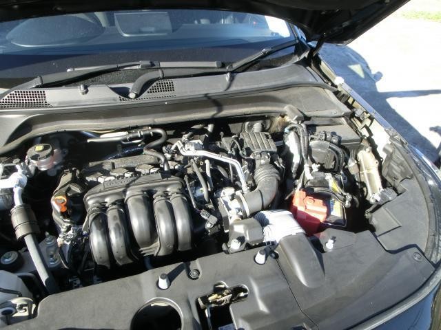 26028825_carP_l_17.jpg
