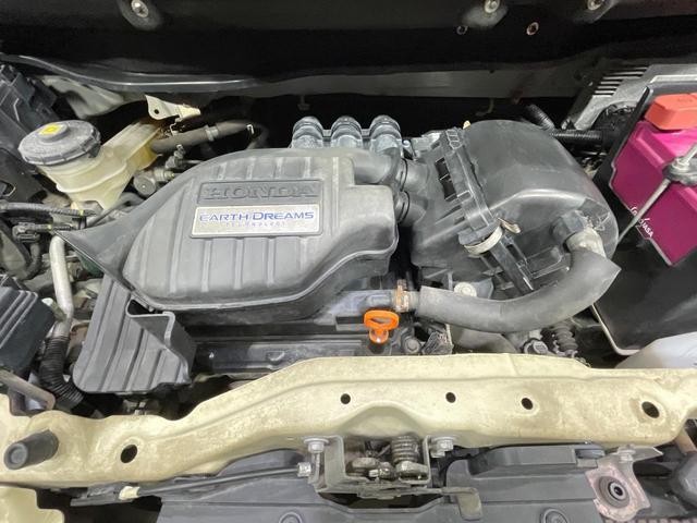 25572117_carP_l_16.jpg