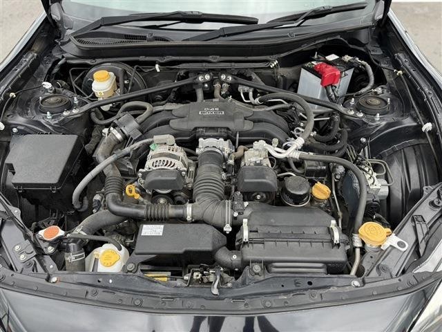 26340707_carP_l_18.jpg