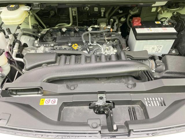 23555766_carP_l_18.jpg